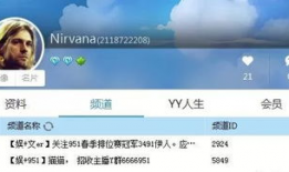 网爆吃瓜爆料视频下载免费,免费下载背后的真相